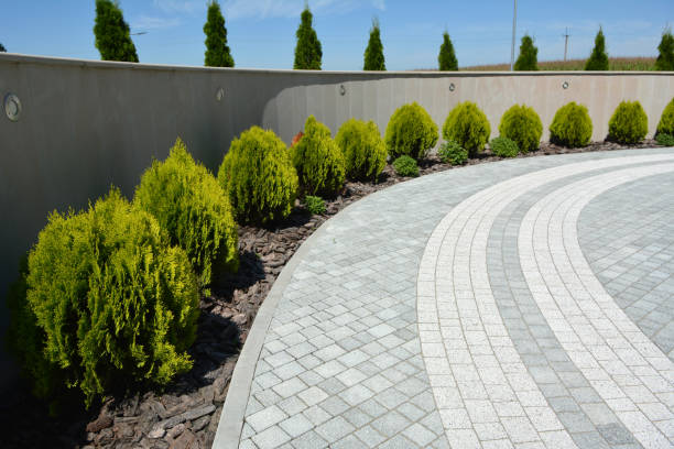 Best Decorative Driveway Pavers  in Columbus, MT